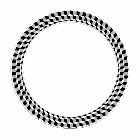 Duo Escher Juggling Ring