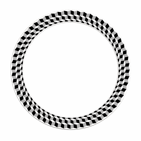 Duo Escher Juggling Ring