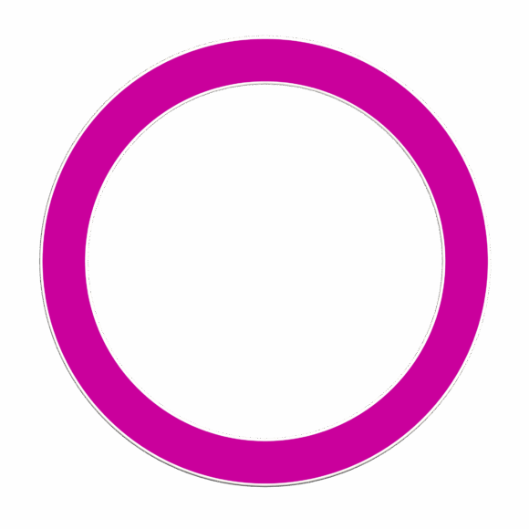 DUO Color Juggling Ring - Image 8