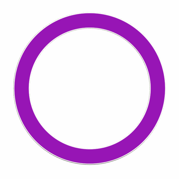 DUO Color Juggling Ring - Image 6